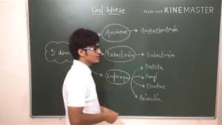 3 domain classification by Carl Woese Archea Bacteria Eukarya [upl. by Kilby230]