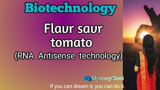 Flavr savr tomato  genetically modified plant  RNA Antisense technology  easy explanation [upl. by Anilatak239]