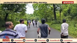 കോതമംഗലത്ത് ജനവാസമേഖലയിൽ വീണ്ടും കാട്ടാനക്കൂട്ടം  Wild elephant  Kothamangalam [upl. by Arabela]