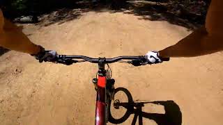 2020 Vitus Nucleus VR Hardtail Mountain Bike Jumps [upl. by Assirolc]