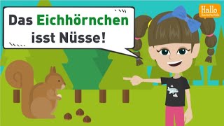 Deutsch lernen A1 und A2  Wörter mit den Umlauten ä ö und ü  Wortschatz und Grammatik üben [upl. by Iemaj]