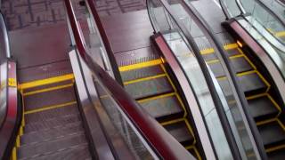 Foxborough Schindler Escalators  Showcase Cinemas Patriot Place [upl. by Anaz801]