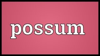 Possum Meaning [upl. by Dloraj607]