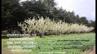 Understanding the Phytohormones and their Influence on Small Orchard Management [upl. by Navert801]