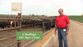 Committed to Nebraska Beef Alexander Cattle amp Farms 8 [upl. by Hafeenah635]