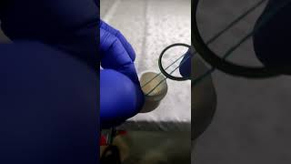 How to put a rubber gasket on a pipe [upl. by Jeunesse]