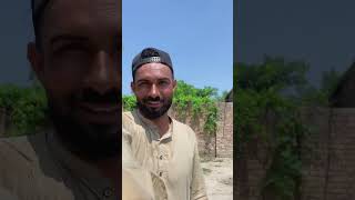 bakry ke sejji kyu jal gai😳😳 minivlog vlog villagelife funny vlogger [upl. by Narmis]