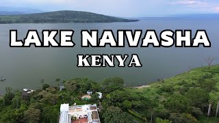 LAKE NAIVASHA in KENYA Drone Views Fresh Water Lake with No Outlet Weird [upl. by Yeldud290]