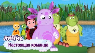 Настоящая команда 💥 Лунтик 💥 Сборник мультфильмов для детей [upl. by Oravla]