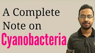 Cyanobacteria structure functions properties  Bluegreen Algae  every thing about cyanobacteria [upl. by Bultman]