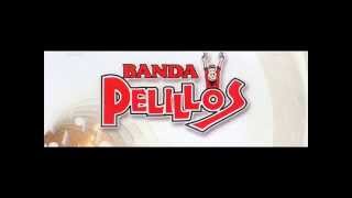 BANDA PELILLOS PALABRAS [upl. by Mlehliw838]