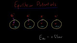 Equilibrium Potential of Ion Ena and Ek made simple PART 2 [upl. by Restivo407]