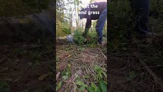 It is important to remove grass amp weeds ASMR S101 shorts ytshorts plants garden grass weed [upl. by Adabel]