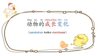 二年级科学：动物的成长变化 （双语讲解Dwibahasa）Sains Tahun 2 SJKC [upl. by Wira]