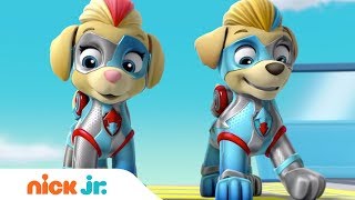 Katie Leads the PAW Patrol Pups 🐶  PAW Patrol Rescue Episode  Cartoons for Kids [upl. by Doreen]