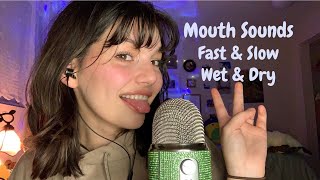 ASMR  Upclose Fast and Slow Mouth Sounds Wet and Dry and Hand Movements  Pure Mouth Sounds [upl. by Anwadal]