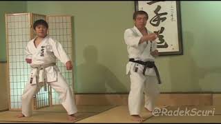 Hirokazu Kanazawa  Mastering Karate  Vol3  Kihon Ido MidLevel Kyu Rank Combinations [upl. by Lannie]