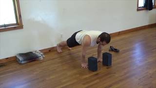 Chaturanga Dandasana Modifications [upl. by Fang]