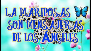 LASMARIPOSAS 🦋 SON MENSAJERAS DE LOS ÁNGELES😇💞 poseen un significado espiritual [upl. by Ebony]