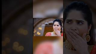 Madam sir funny video 😂😂 funny shortvideos viralvideos viral shorts song trending [upl. by Emiolhs]