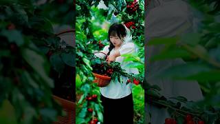 Harvesting some fresh and delicious fruits 😋🍎🍓🍉🥭🍊 shorts fruit nature garden [upl. by Acimehs]