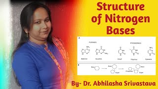 Structure of Nitrogen Bases Purine Adenine Gaunineamp Pyrimidine Cytosine Uracil amp Thymine [upl. by Hterrag949]