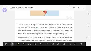 resting membrane potential  action potential [upl. by Otrebile]