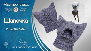 Шапочка с ушками для собак и кошек DIY Hat for dogs and cats [upl. by Enrahs331]