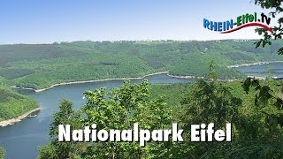 Nationalpark Eifel  RheinEifelTV [upl. by Aramad]