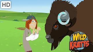 Wild Kratts  The Best Wildlife Experience 1 HOUR [upl. by Grannia]