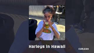 Harleys in Hawaii  TikTok remix [upl. by Huda295]