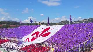 Fiorentina  Genoa 140914 Coreografia curva Fiesole  inno Fiorentina cantato dai tifosi [upl. by Filbert]