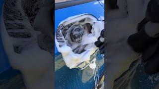 Car Detailing Clean those DIRTY Flaps… satisfying detailing [upl. by Assirehc]