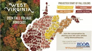 West Virginia Tourism releases fall foliage projection map [upl. by Corey]