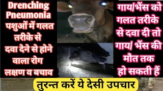 Drenching Pneumonia in Cattle  Treatment पशु को गलत तरीके से दवा देने से होगा नुकसानcattle [upl. by Yusem904]