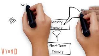 Information Processing Theory Explained [upl. by Atiekahs]