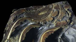 3D Goniatite Close Up Middle Devonian [upl. by Noell19]