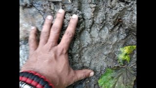 Chandrakhani Pass  Wild encounter during my Solo Trek [upl. by Calli]