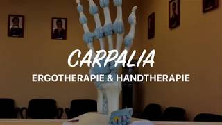 CARPALIA  Praxis für Ergotherapie amp Handtherapie [upl. by Arammahs]