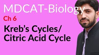 MDCAT Biology Entry Test Ch 6 Krebs Cycle  Chapter 6 Bioenergetics [upl. by Ynaiffit]