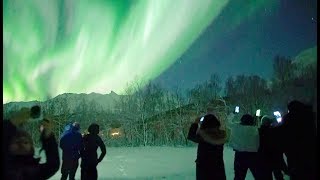 🇳🇴Chasing Lights in Tromsø Norway [upl. by Hadley]