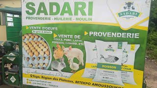 Premier anniversaire de la Provenderie Sadari [upl. by Eahcim]