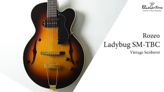 Blue Guitars  Rozeo  Ladybug SMTBC  Vintage Sunburst [upl. by Nnayram]