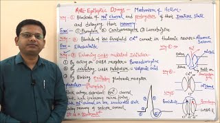 Anti Epileptic Drugs Part 02 Final  Classification amp Mechanism of Action of Antiepileptic Drugs [upl. by Zalea612]