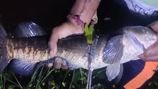 local fishing video  mach dhora video  FISHING LOVERS 2 [upl. by Sato]