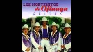 los nortenos de ojinaga lamento de amor [upl. by Amadus]