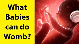 11 Things Unborn Babies Can Do in the Womb [upl. by Cletus]