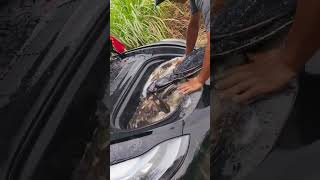 Cốp này hơi bé fishing fish carpfishing fishinglife carp food tamtrang cauca cover funny [upl. by Retsam]