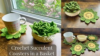 EASY Crochet Succulent Coasters in a Basket [upl. by Warwick]