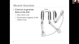 EXP3250 Biomechanics [upl. by Boone770]